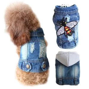 Veste en jean destroy pour chien tendance