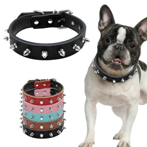Collier cloutés rock en cuir pour chien