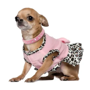 Collier en daim strassé pour petit chien