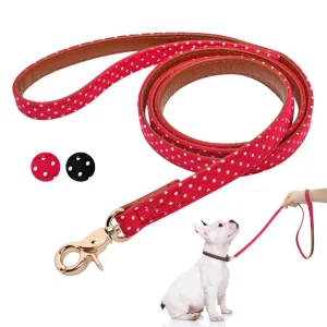 Laisse pour chien à pois