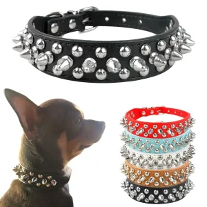 Collier rock rivets pour chien