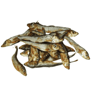 Sprat