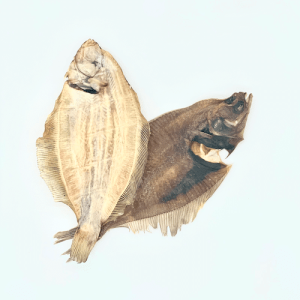 Limande – Friandise pour chiens