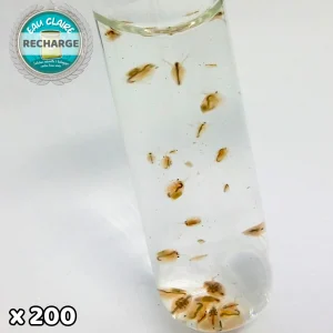 Recharge ZollaBox Eau Claire XL