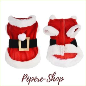 Déguisement de noel pour chien