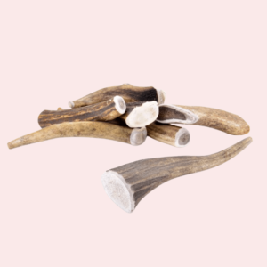 Bois de cerf Entier
