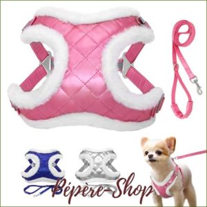 Harnais chaud pour chien - maintien sécurisé et protection contre le froid