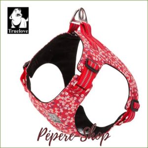Harnais gilet motif floral pour petit chien et chiot
