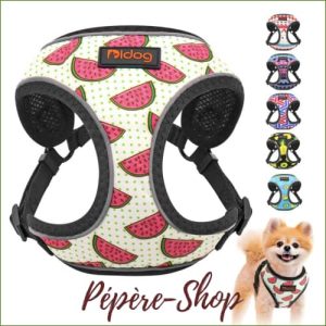 Harnais original pour chien, pour la promenade ou l'éducation