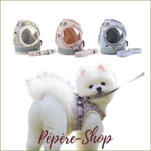 Harnais pour spitz nain SUPERPET avec sa laisse assortie