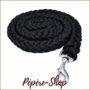 Laisse en nylon pour chien puissant