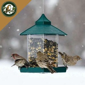 MANGEOIRE OISEAUX – CABANE PLASTIQUE