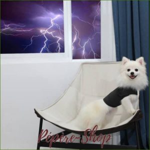 Manteau anti stress pour chien - calmant et apaisant