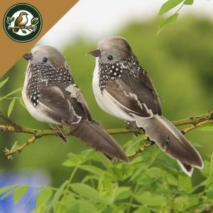 OISEAUX SAUVAGES ARTIFICIELS