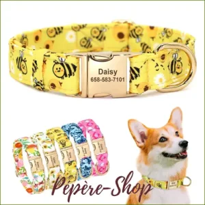 Collier nylon stylé avec gravure et coloré pour petits chiens