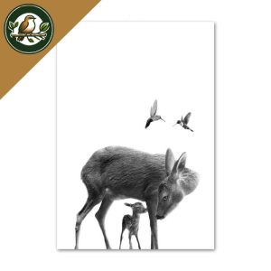TABLEAU OISEAUX – ANIMAUX & OISEAUX