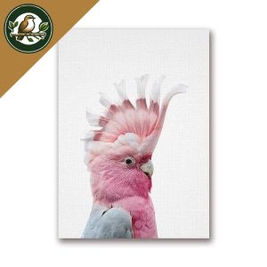 TABLEAU OISEAUX – CACATOÈS ROSE