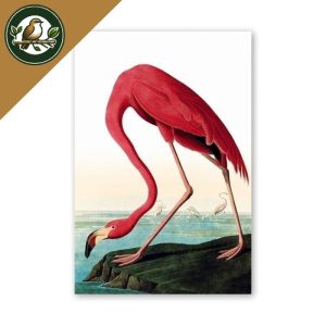 TABLEAU OISEAUX – LE FLAMANT ROSE